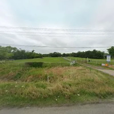 Arboricultural Systems