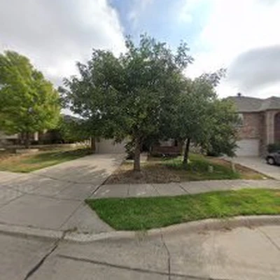 Texas Best Tree Co