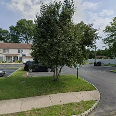 Randolph NJ Tree Service