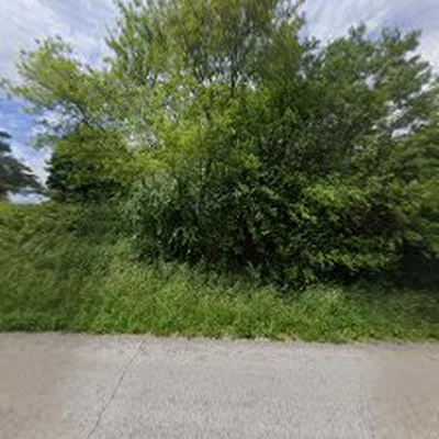 Beaver Tree LLC