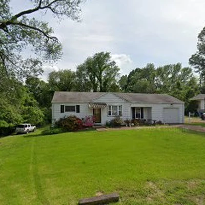 More Tree Service