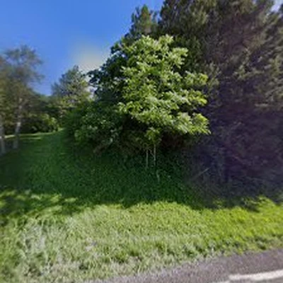 Ottiger Tree Service LLC