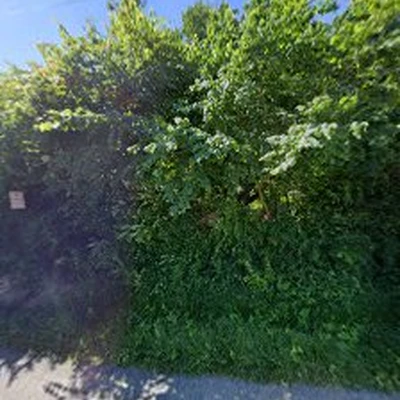Off The Top Tree Service LLC