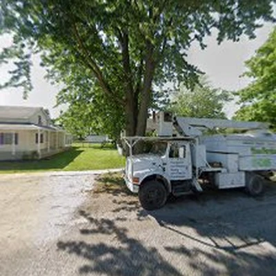 Capitol tree service LLC