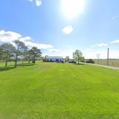 Black Swamp Tree Services