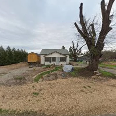 Petersen Tree Care