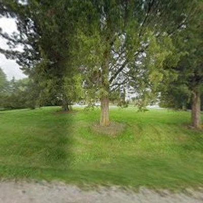 Coastie's Tree Service