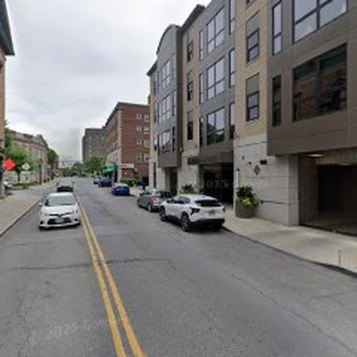 High Branch Tree Service Buffalo