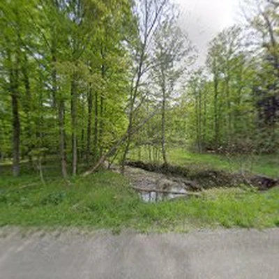 Great Lakes Tree Services Inc