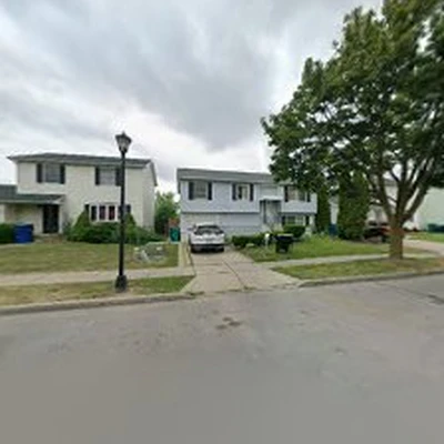 WNY Tree Specialists