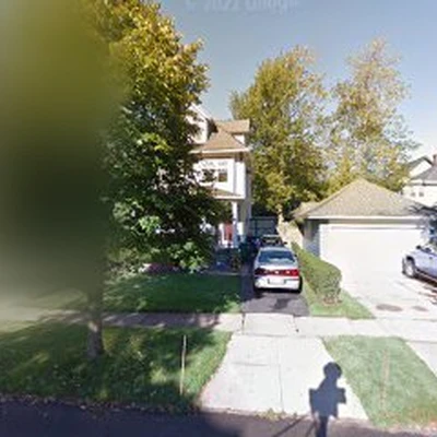 Platinum Tree Experts