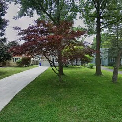 West Seneca Tree Service