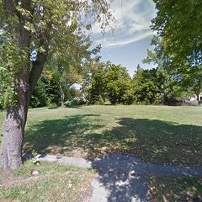 Greenway Tree service buffalo ny