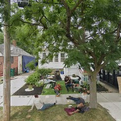 Urban Oak Tree Care