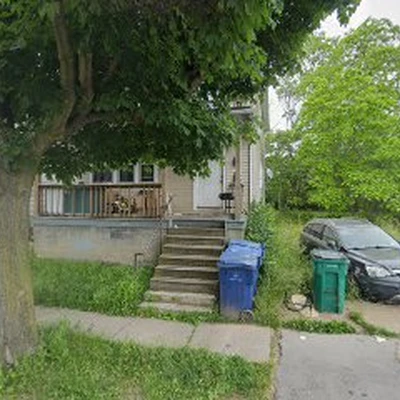 Buffalo City Tree Experts