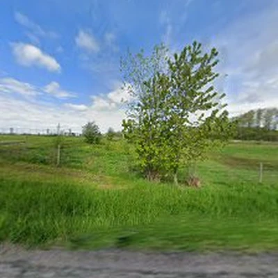 Niagara Arborists Inc.