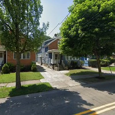 Apex Canopy Tree Service