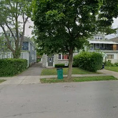 Boulevard Tree Care