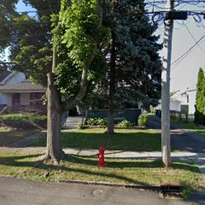 Apex Oak Tree Care