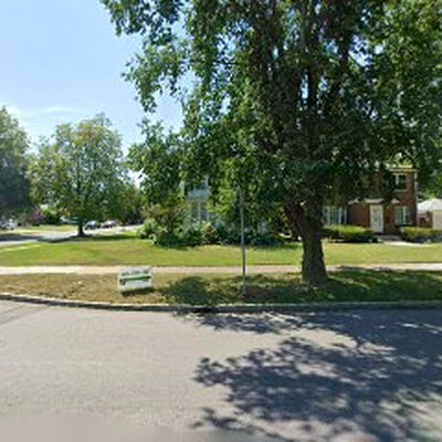 Clean Forest Arbor Care