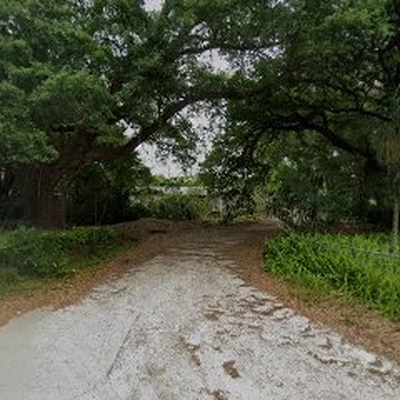 Your Kind of Tree Service