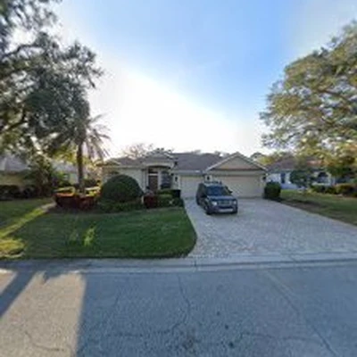 Suncoast Tree Service