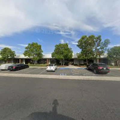 American Arbor Tree Service