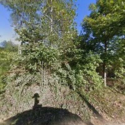 A. Gonzalez Tree Services