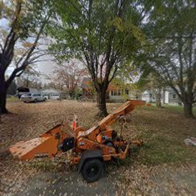 Select tree service
