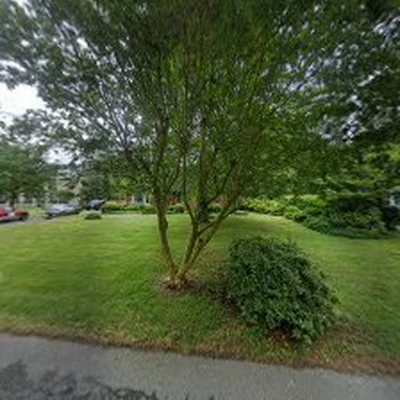 All Access Stump Removal Inc