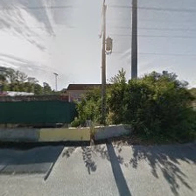 Trees R Us, Inc.