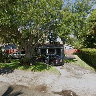 T Alexandre Tree Service