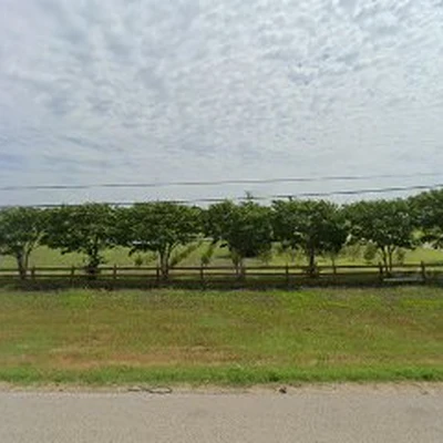 Port A Tree