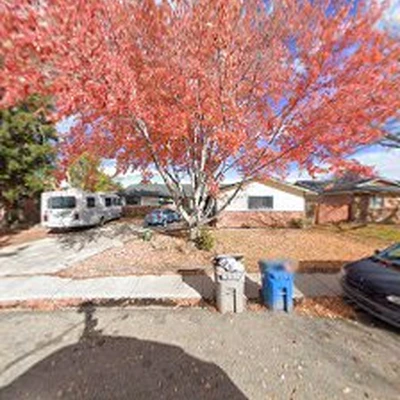 Aloha Tree Care