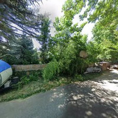 Idaho Tree Professionals