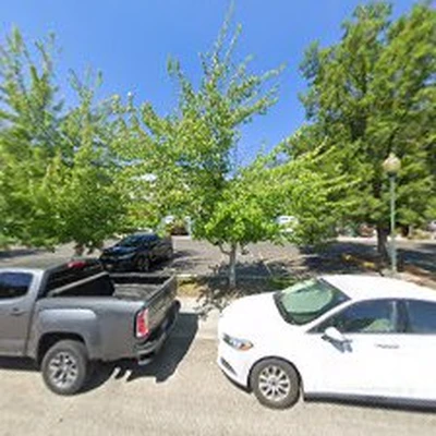 Black Tree Roofing LLC