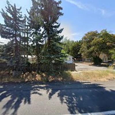 Tall Tree Of Eastern Washington