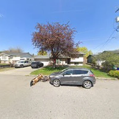 Curtis Point Tree Service