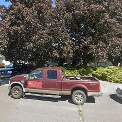 bullpinetreeservicescorp