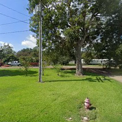 Pointe coupee tree service