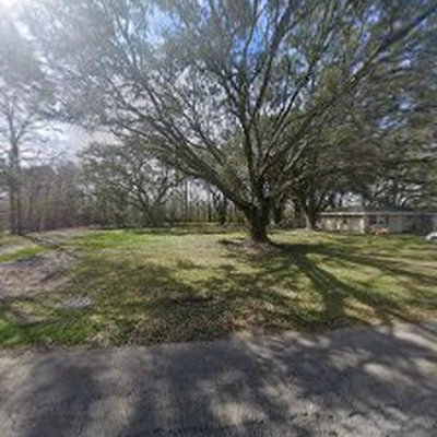 ABC TREE CO.