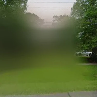 Trees R Us