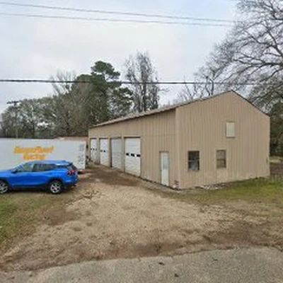 Livingston Parish tree surgeons