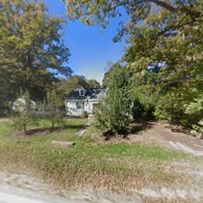 Cambium Tree Services