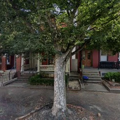 RVA Emergency Tree Removal