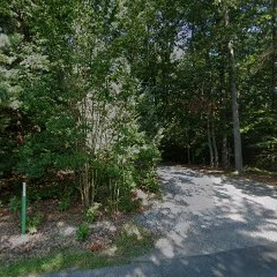 Peoples Tree Services