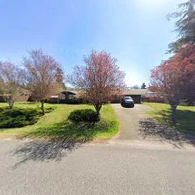 I'M IN Tree Services