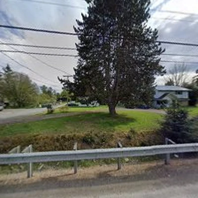 Nelson White Arborists (NW Arborists)
