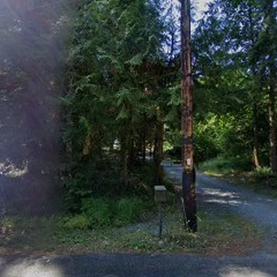 All Orting Tree Service Experts