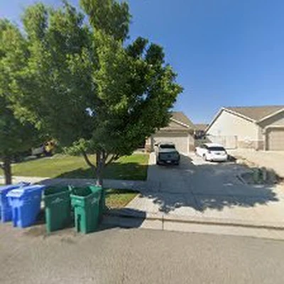 Discount Tree & Landscape Co
